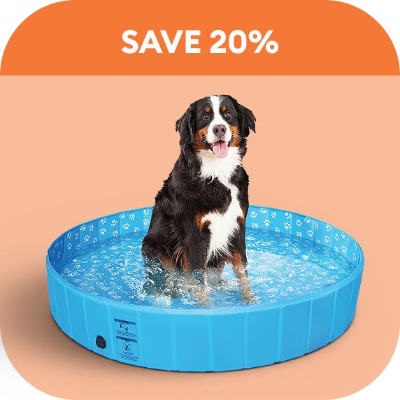 Save 20% callout & a dog sittinginside a pool