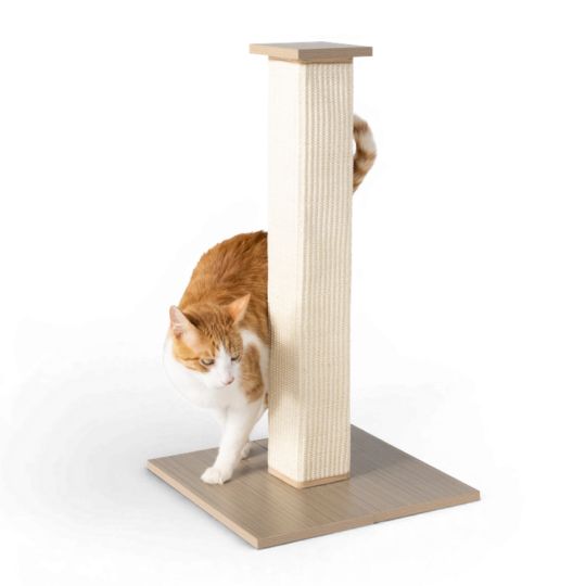 Cat rubbing against a Whisker City Scratching Post