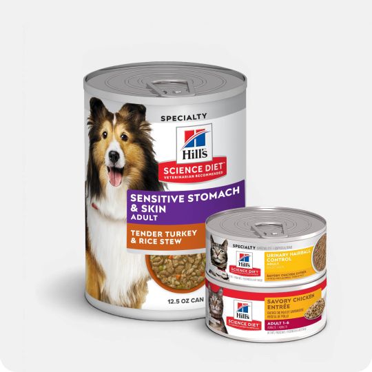 Hill's Science Diet dog & cat wet food