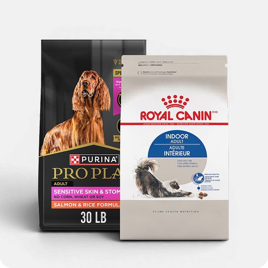 Purina Pro Plan dog food & Royal Canin cat food