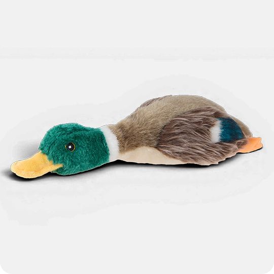 Plush dog toy