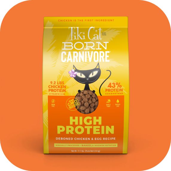 Bag of Tiki Cat Born Carnivore cat food