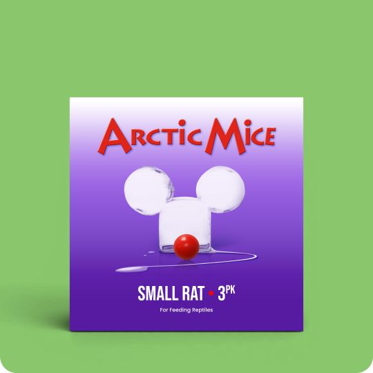 Frozen Arctic Mice