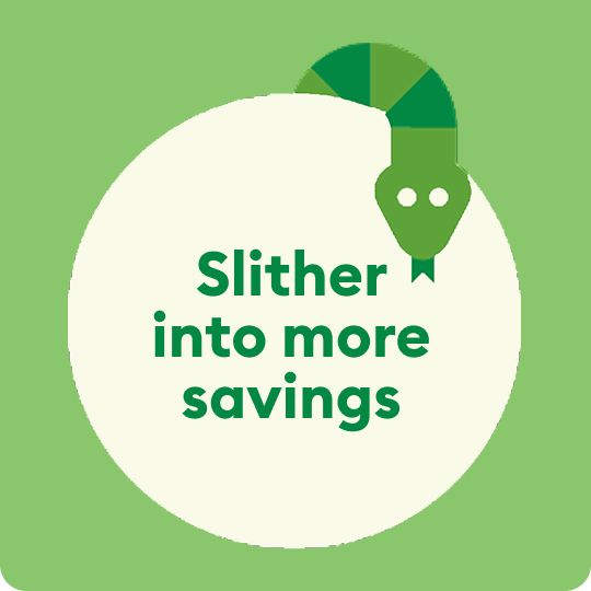 Slither into more savings message & a green illustrated snake