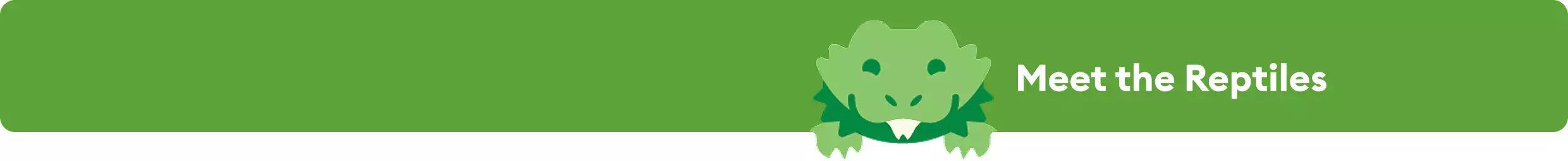 Meet the Reptiles message with a green illustrated bearded dragon