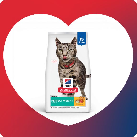 Bag of Hill's Science Diet cat food on a white heart background