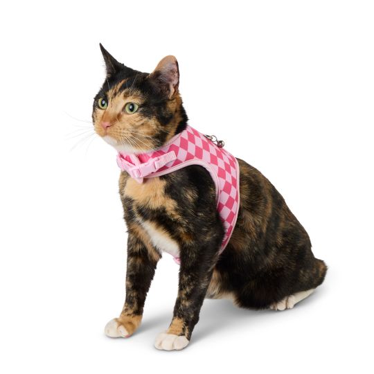 Cat wearing a pink checkered Whisker City Harness