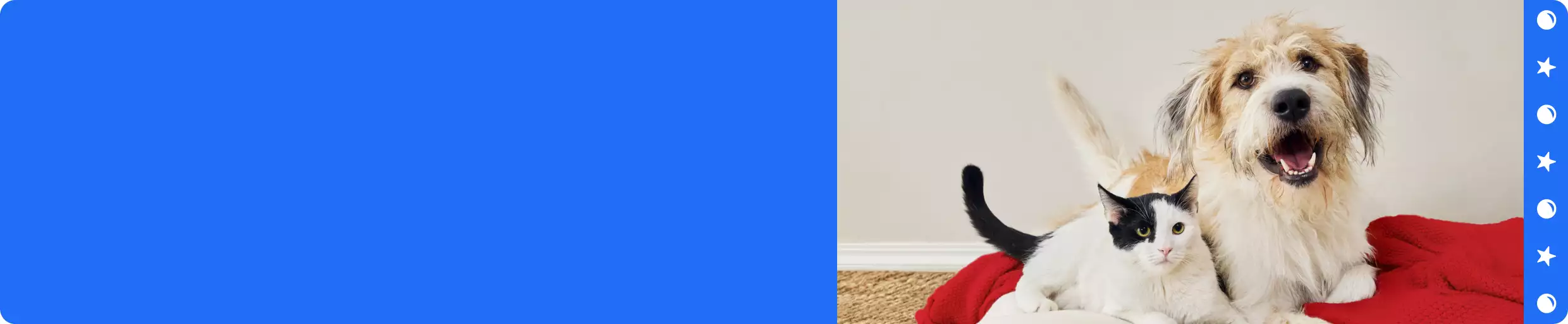 A dog & cat lying next to each other on a red blanket & a blue strip with star & ball illustrations