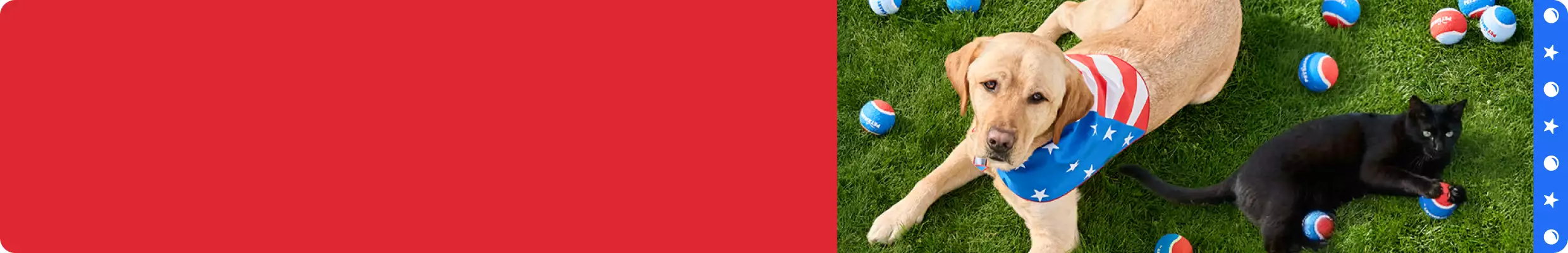 Golden retriever wearing a red, white & blue bandana lying on grass next to a black cat, surrounded by red, white & blue balls