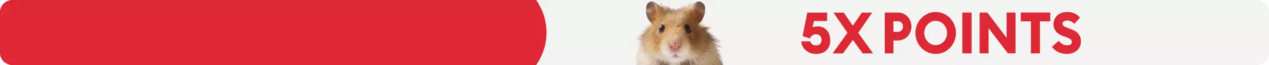 5X Points Small Pet