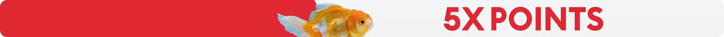 5x points gold fish