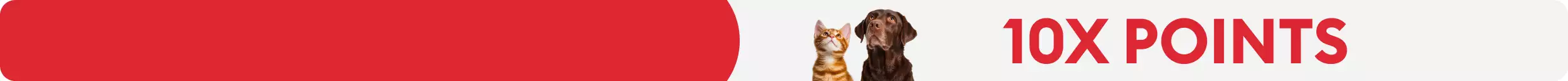 10X Points Dog & Cat