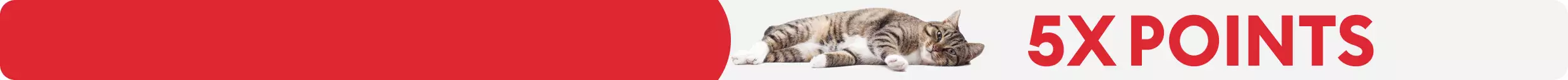 5X points callout and a cat laying on its side