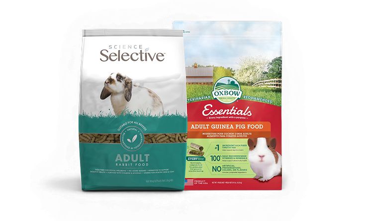 BOGO callout and two bag sof small pet food