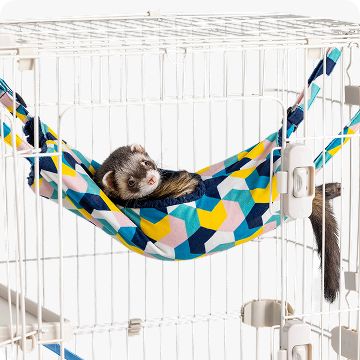 A ferret lying in a swing in a white habitat