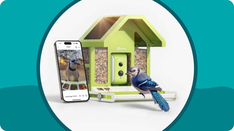 Birdfy smart feeder next to a smartphone