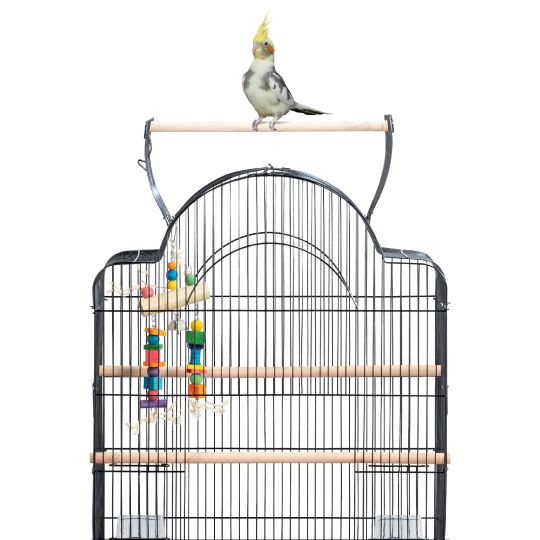 Save 40% call out and a black bird cage