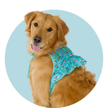 Top Paw® Dino Dog Bikini