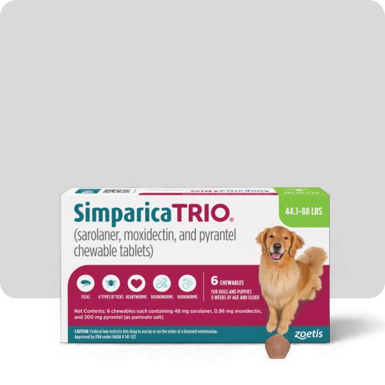 Simparica Trio chewable tablets packet