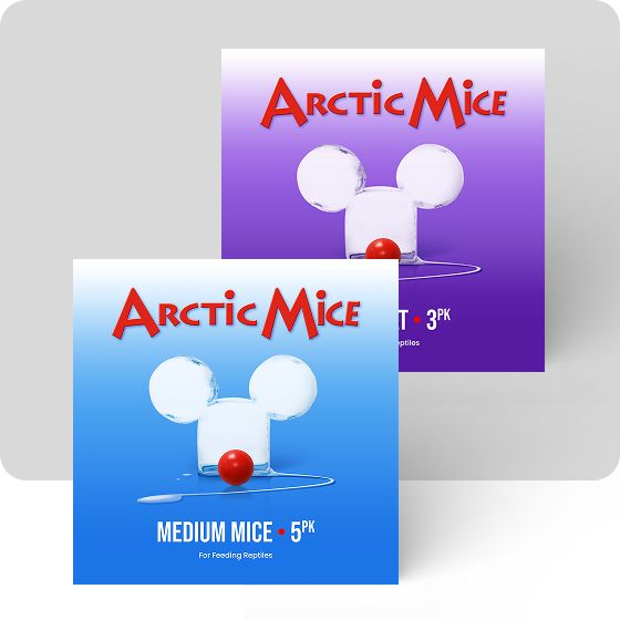 Artic Mice reptile food packet