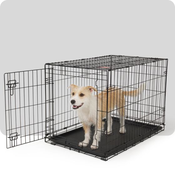 A metal dog crate