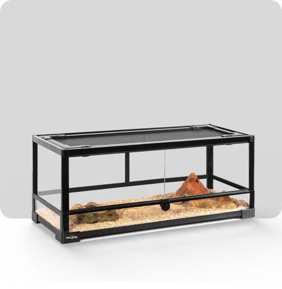 A glass reptile terrarium