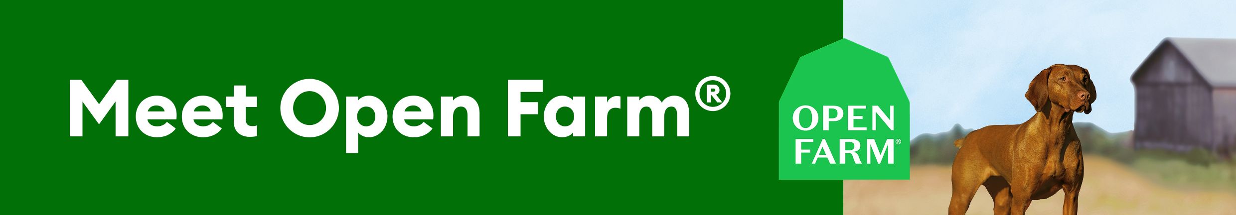 Open Farm logo with Vizsla dog outside with barn