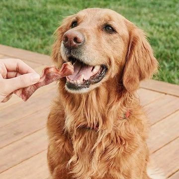 Golden retriever being handed a treat outside on deck