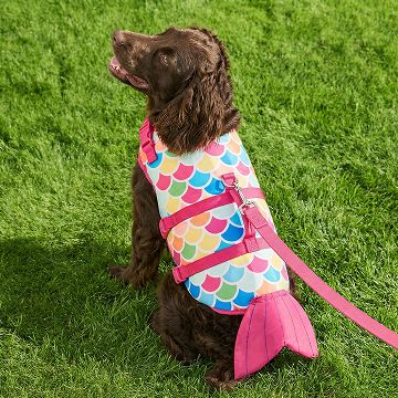 Dog sitting in grass with mermaid tail harness on and pink leash
