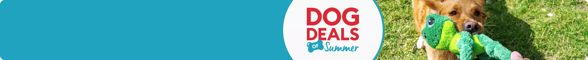 DOG DEALS of Summer with retreiver tugging on plush do toy