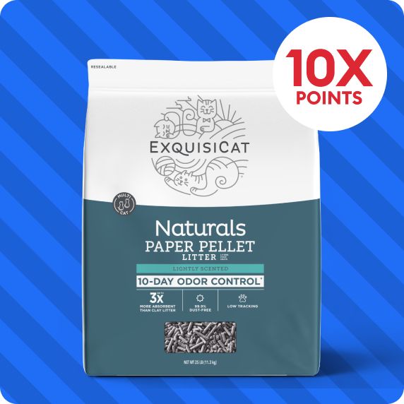 10X points callout & a bag of ExquisiCat litter