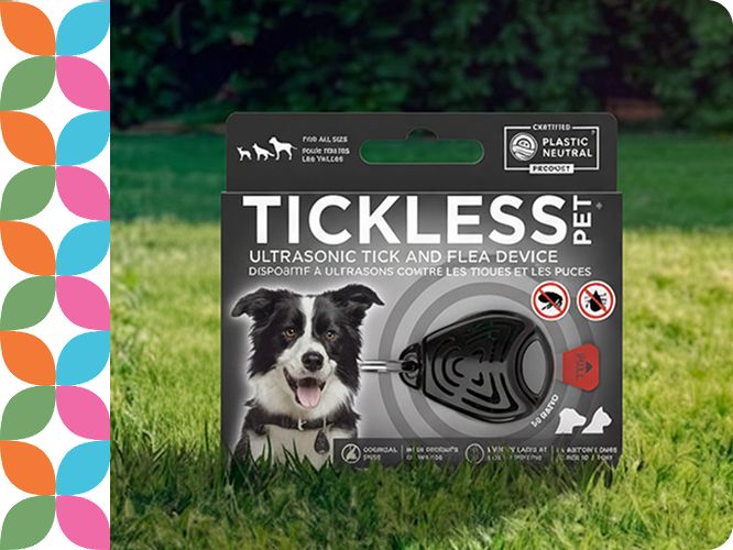 NexGard Chewable Tablets for Dogs