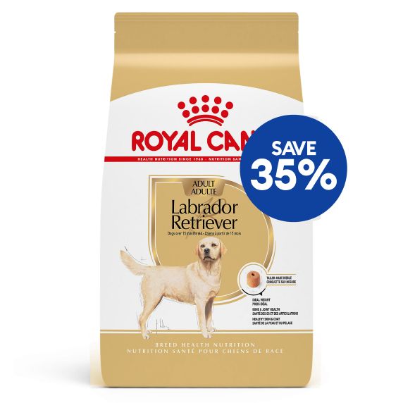 Save 35% callout & a bag of Royal Canin dog food