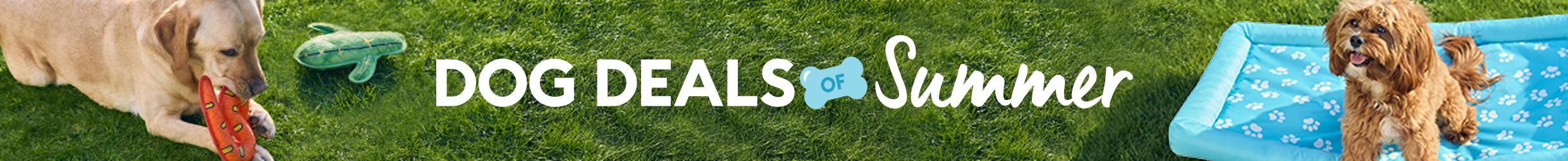 Dog Deals of Summer banner featuring a dog playing outside with a summer toy & a dog on a blue splash pad
