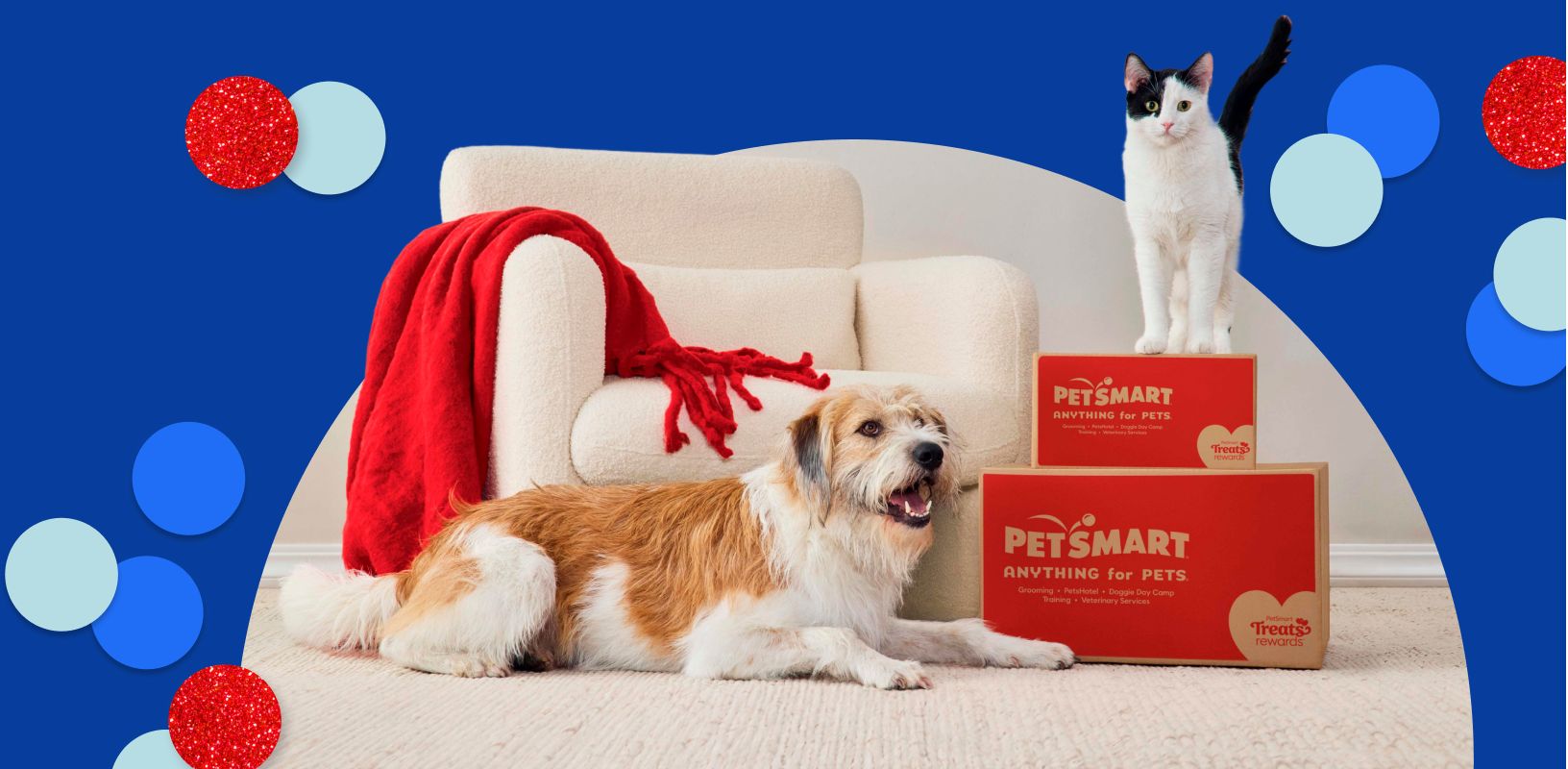Dog lying by a white chair & red blanket and a white & black cat standing on PetSmart boxes surrounded by colorful confetti graphics