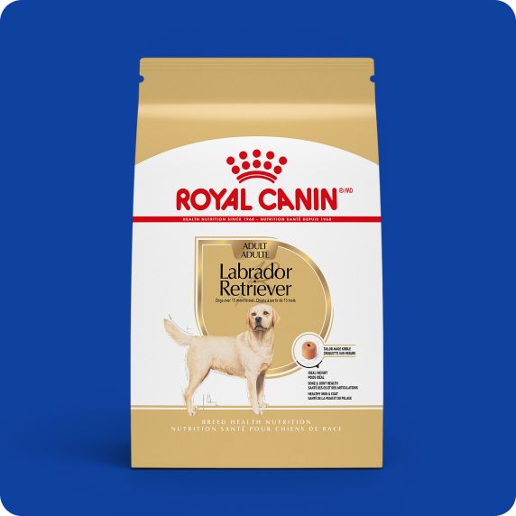Bag of Royal Canin dog food