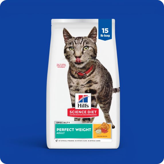 Bag of Hill's Science Diet cat food