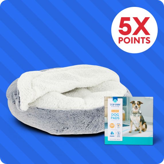 Top Paw snuggler bed, disposable dog pads and 5X points callout