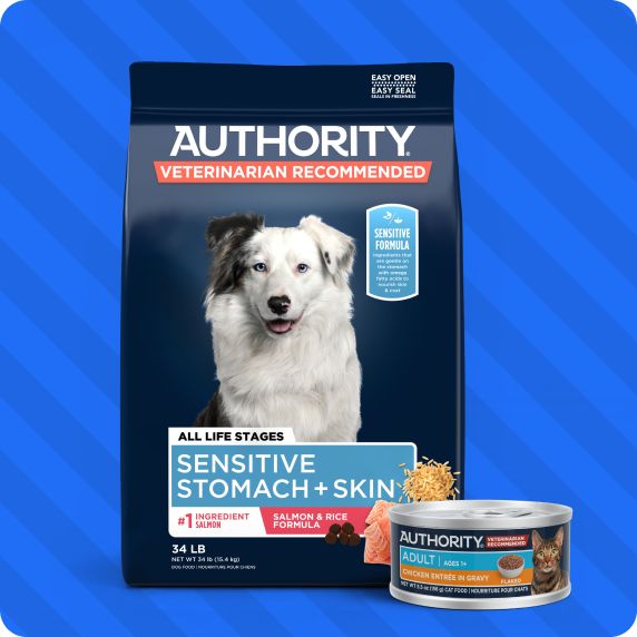Bag and can of Authority dog food 