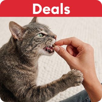 Deals callout and a cat getting hand-fed a treat