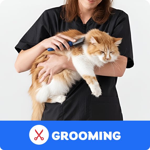 Grooming logo and a salon associate brushing a cat