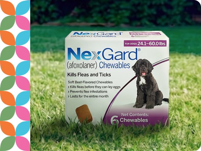 NexGard Chewable Tablets for Dogs