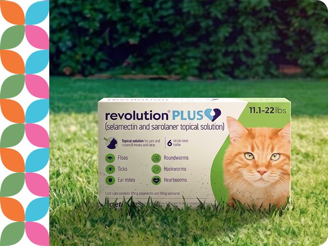 Revolution Plus for Cats