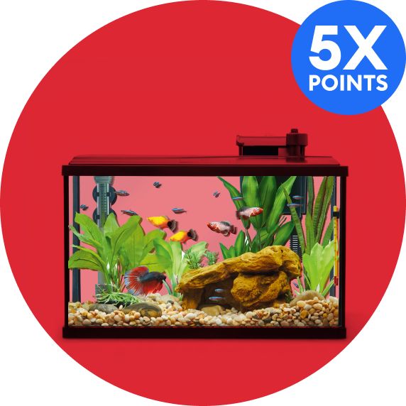 Top Fin Essentials Aquarium Starter Kit and 5X points callout