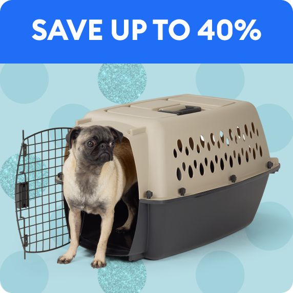 Save up to 40% callout and a dog in a plastic carrier