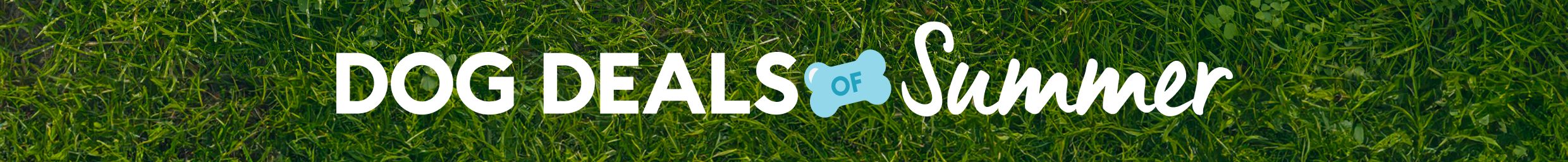 Dog Deals of Summer message on a green grass background
