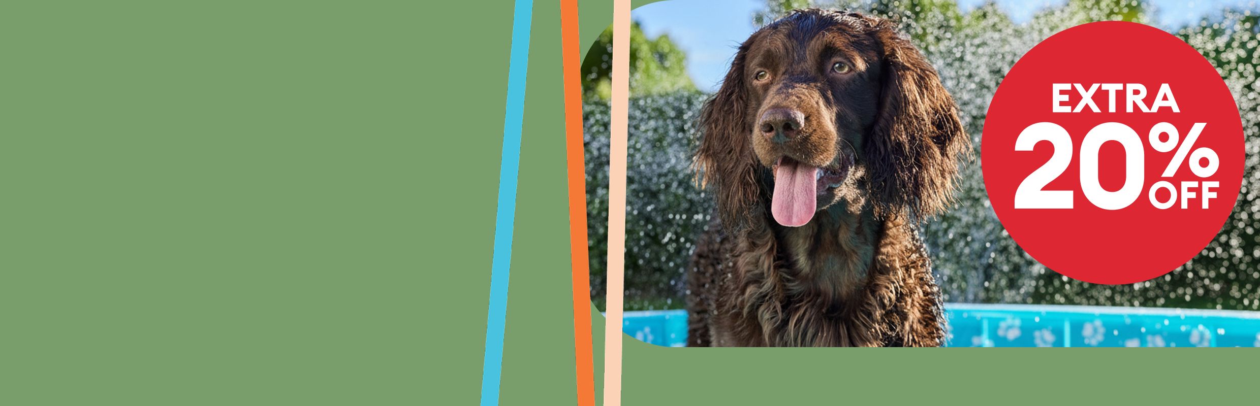 Brown dog sitting outside, extra 20% off callout and colorful striped border accents