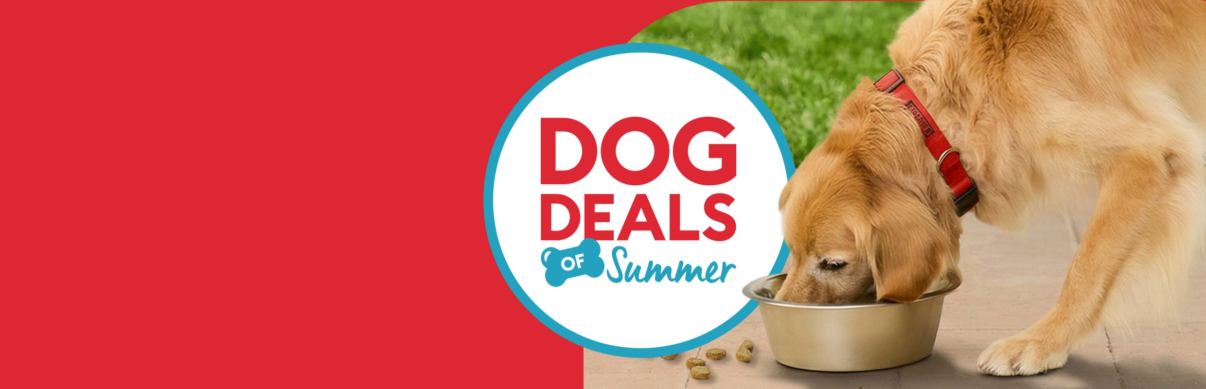 Dog Deals of Summer message and a golden retriever eating kibble out of a metal bowl outside