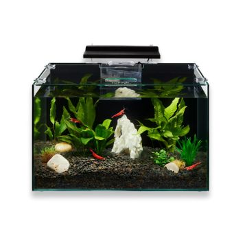 A fish tank