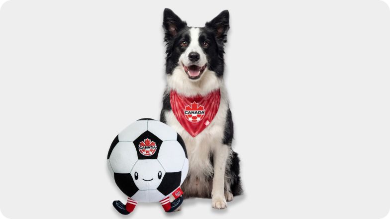 A dog in a hankerchief and a soccer ball with Team Canada logos